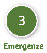 3 emergenze